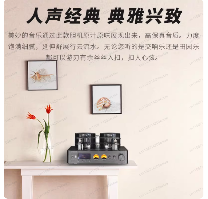 Wzmacniacz lampowy Hi-Fi bezpr – Audio Music Youtube recenzja i cena